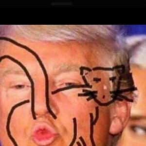 Meet your Posher, Sherry